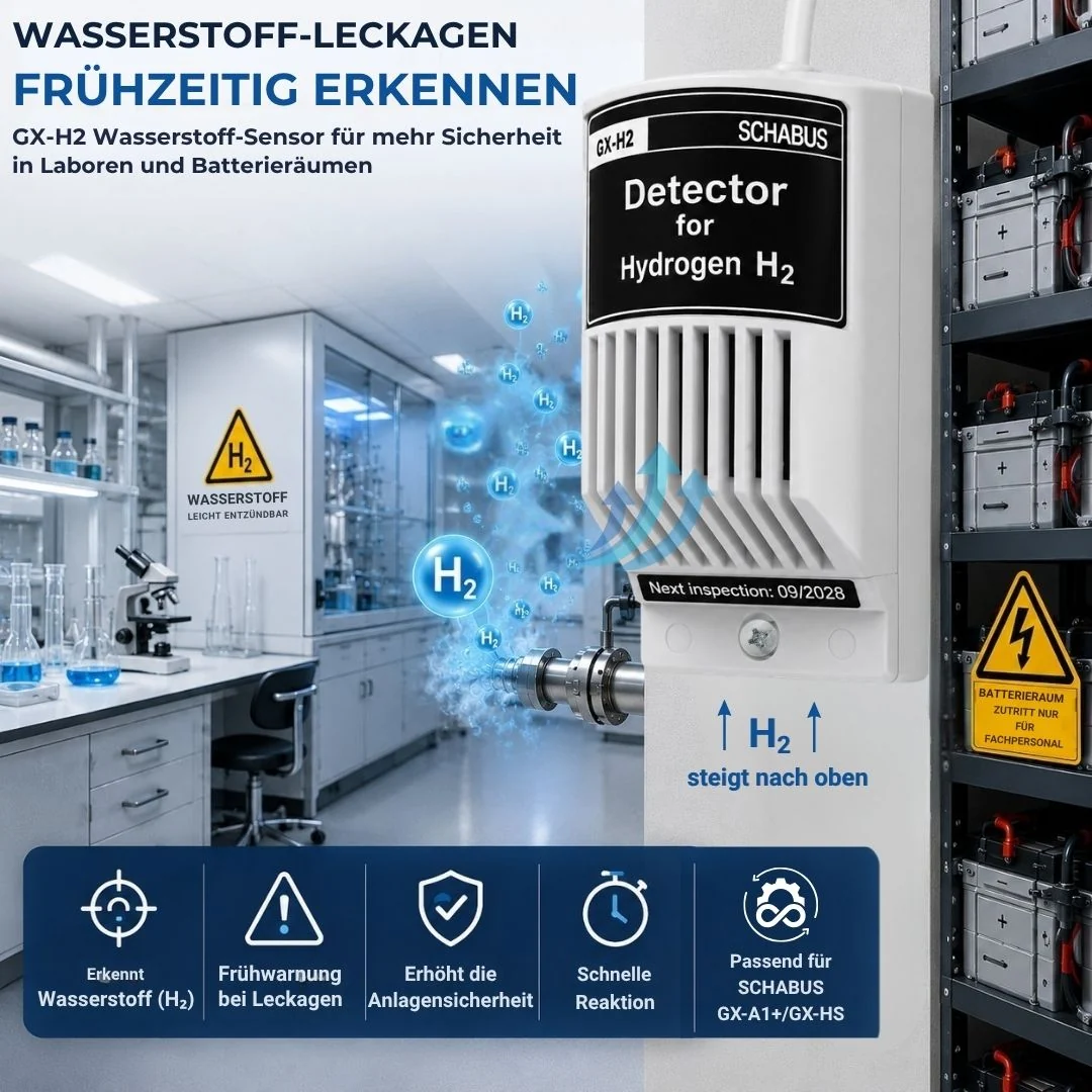 GX-H₂ - sensor de gas externo para la detección de hidrógeno (H₂)