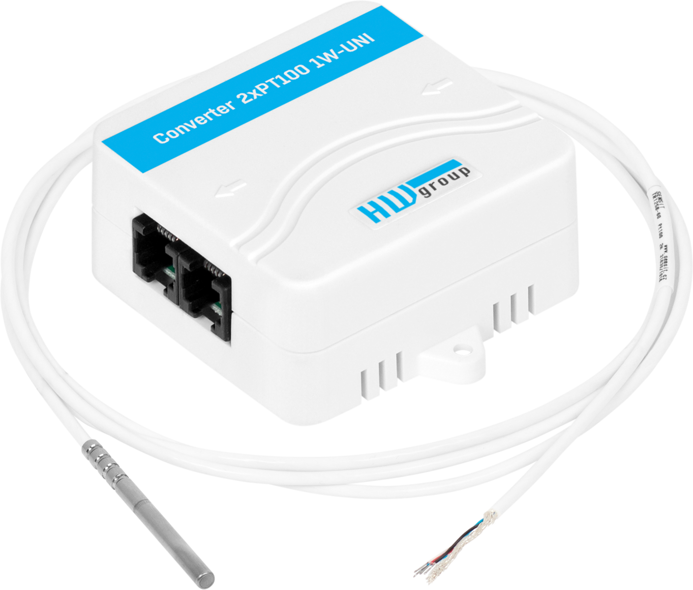 Temp-1W-UNI Pt100 Frost – Low-temperature sensor